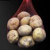 Reusable Watermelon Net with Straps Fruit Storage Net Bag New Garden Netting  For Garden Planting