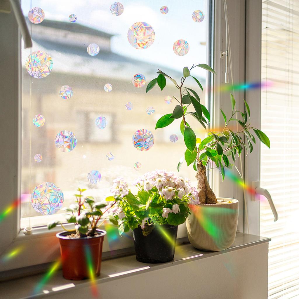 Anti-Collision Circular Window Stickers Reusable Rainbow Window Clings Stop Birds from Hitting Windows