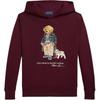 Худи Polo Ralph Lauren FW25 с принтом, с длинным рукавом и капюшоном, детское детские худи 323979491-001
