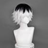 Sasaki Haise Cosplay Wig High Quality Anime Unisex Black White Mixed Short Wig Heat Resistant Synthetic Hair Wigs + Wig Cap