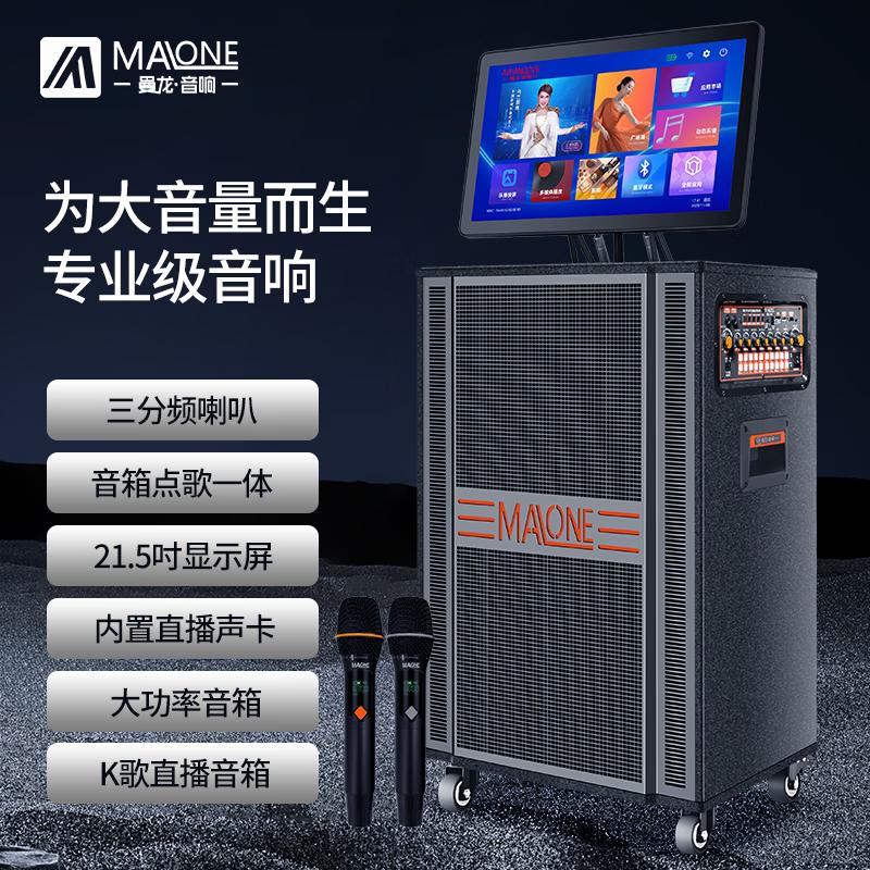 MALONE Outdoor Karaoke Speaker System with Display (CN version)