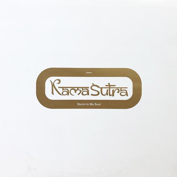12-дюймовая пластинка KAMASUTRA Storm In My Soul DANUP12 S3 1996 UK Dance Electronica Б/у