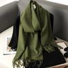 62Color Solid Women Winter Scarf Теплый Утолщенный Кашемировый Шаль Уличная Мода Роскошные Кисточки Пашмина Дамская Накидка Ветрозащитные Шарфы