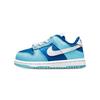 Dunk Low Argon 2022 TD DV2634-400