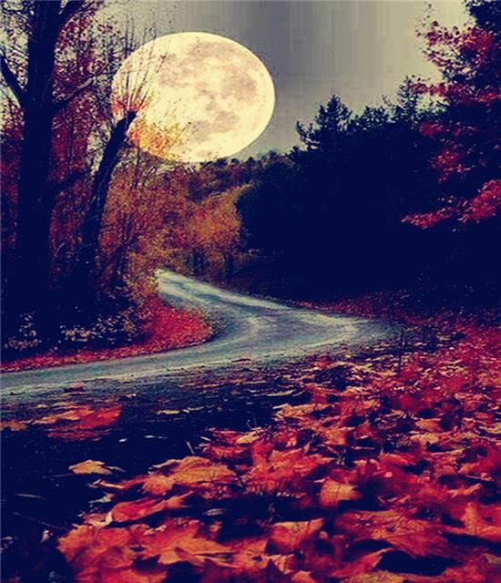 RUOPOTY Paint By Numbers Moon Wall Art Unique Gift DIY Frame Hand Painted Picture By Numbers Landscape For Living Room