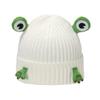 Autumn and winter Internet celebrity knitted hat female cute cartoon frog ear protector pullover hat wool hat female 2025
