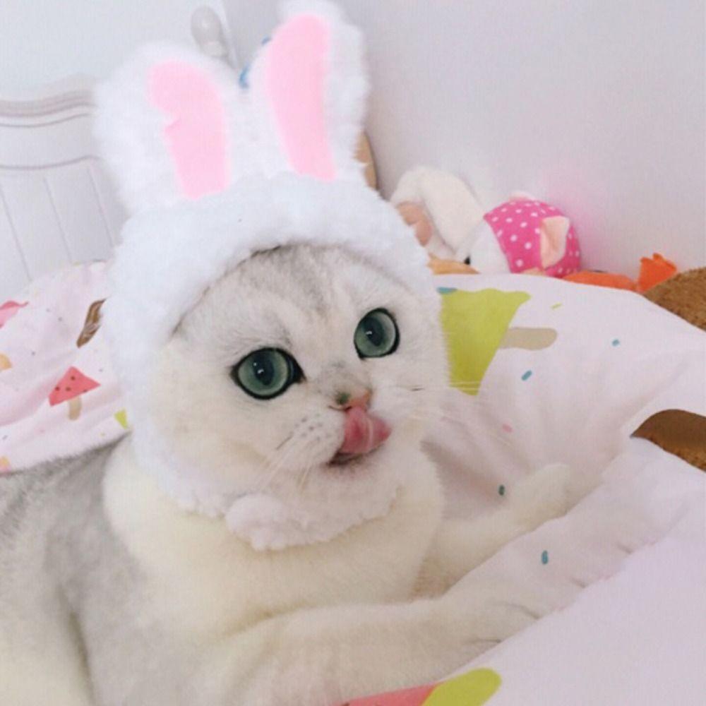 Cute Cat Hat Refined Knitted Hat New Pet Headwear