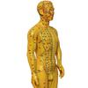 Monolife Human Body Acupuncture Point Meridian Хиропрактика для модели Hard Type, Acupoint, Model, Model, Massage, Learning, 52.5cm, Male,