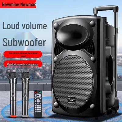 Newman B12 12-дюймовая портативная Bluetooth-колонка для караоке на открытом воздухе с двумя микрофонами, штекер CN (адаптер в комплекте)