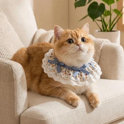 Кошки – Одежда для кошек