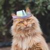 Ковбойская шляпа для домашних животных для маленьких собак и кошек, кепка для косплея, пляжная шляпа с козырьком, костюм щенка