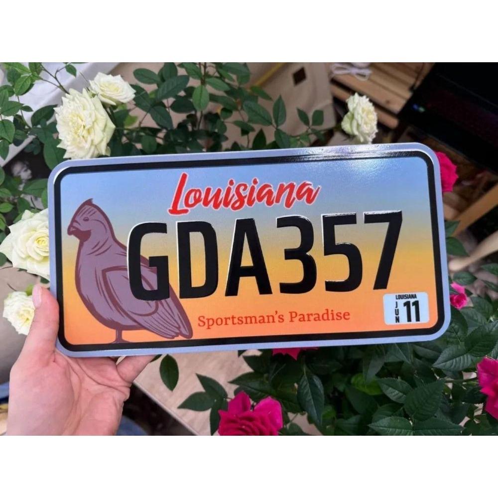 U.S. License Plate, U.S. Car License Plate, Metal, 15x30 Cm.
