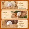 Walnut Shell Bedding: Summer Cool, Winter Warm - Wood Shavings for Small Pets (Chicken & Golden Bear Specific)