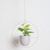 Plant Hanger with Flower Pot, Ceiling and Wall Hanging Planter, Modern Plant, Pot