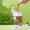 Convenient Bird Feeder Transparent Bird Food Box Bird Hanging Food Dispenser  Outdoor