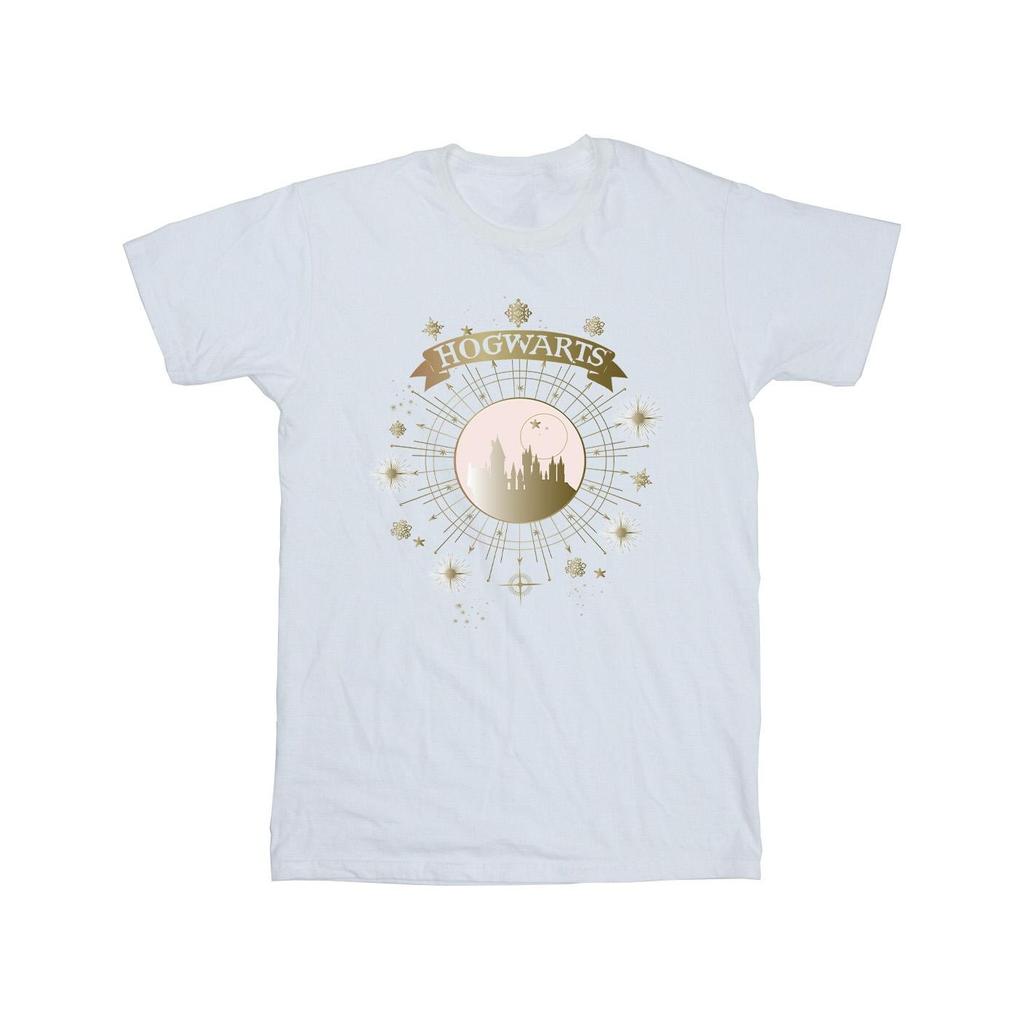 Harry Potter Mens Hogwarts Yule Ball T-Shirt