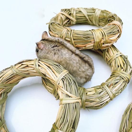 Molar Toy Multifunctional Attractive Natural Grass Ring Rabbit Toy for Bunny