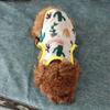 Summer Cat Dog Vest for Small Dogs Cats Mesh Pet Clothes Clothing Puppy Tshirt Yorkshire Shih Tzu Shirts Roupa Para Cachorro