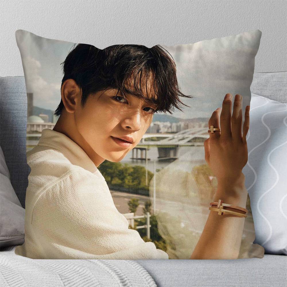 Korean Celebrity PPark Jinyoung Pillow Case Fashion Square Pillowcase Bedroom Sofa Room Ins Decoration Leisure