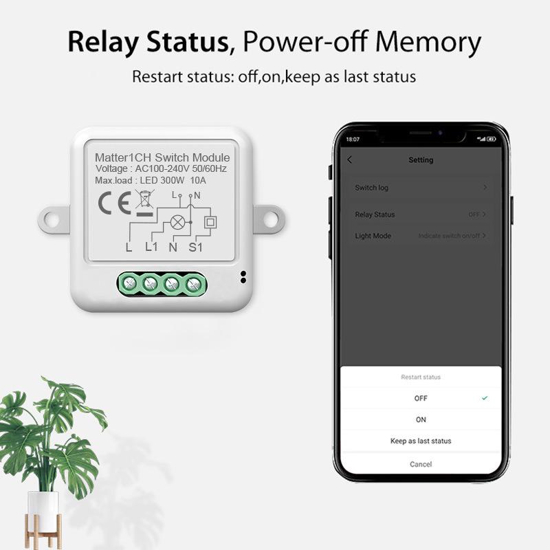 Умный Apple Homekit Matter WiFi Swtich Module DIY Bulb Circuit Breaker App Control Voice Assistant через Siri Google Home Alexa