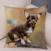Cute Pet Animal Pillowcase Decorative Cute Puppy Chihuahua Pillowcase Soft Plush Cushion Cover for Car Sofa Home 45x45cm