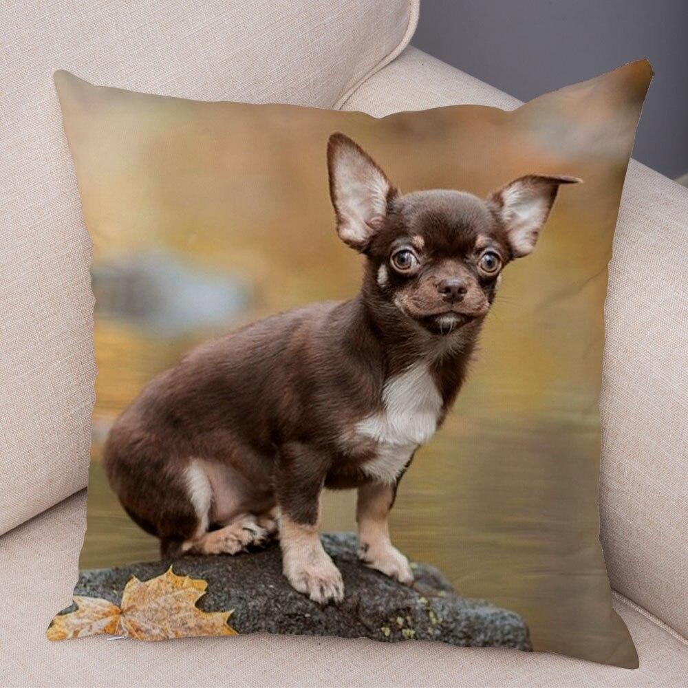 Cute Pet Animal Pillowcase Decorative Cute Puppy Chihuahua Pillowcase Soft Plush Cushion Cover for Car Sofa Home 45x45cm