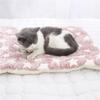 Pet Sleeping Mat Blanket Dog Cat Cushion Beds Mattres Puppy Warm Soft 3 Sizes