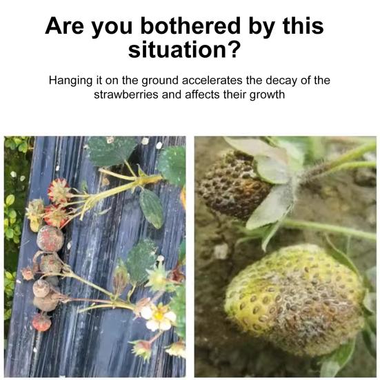 Клубничная колыбель Многоразовая поддержка для клубники Решетка Вставка для кашпо Держатель для клубники Предотвращает гниение от земли Подарок для садоводов-любителей