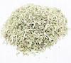 Catnip Herb Catnip 200 G 100% Natural