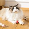 Кошки самодовольные и забавные упругие мячики, кошачья упругость, хватка, укус, спортивные мячи, безопасные и креативные кошачьи игрушки, кошачьи принадлеж