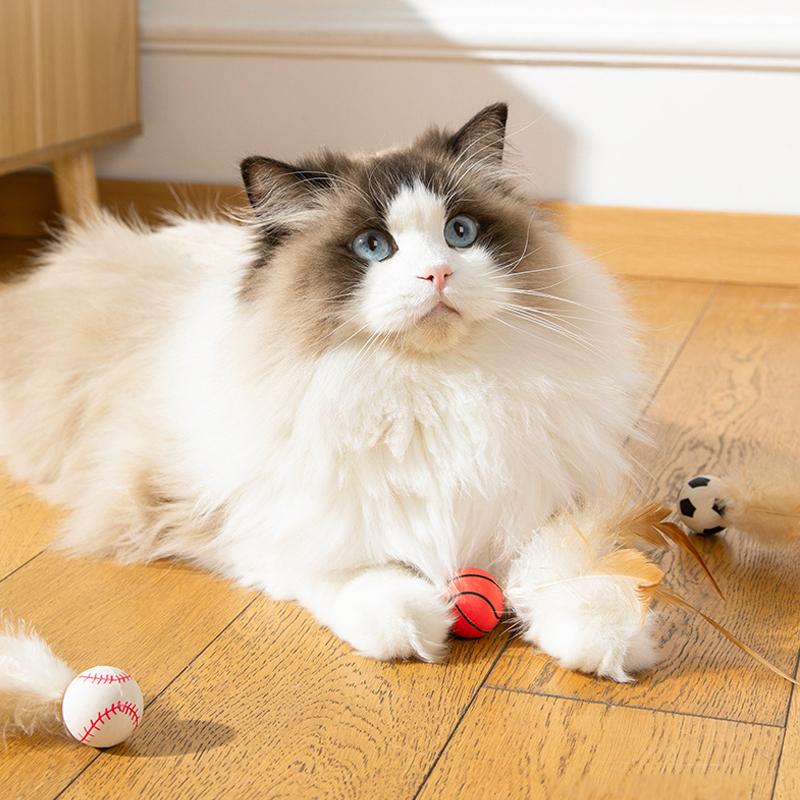Кошки самодовольные и забавные упругие мячики, кошачья упругость, хватка, укус, спортивные мячи, безопасные и креативные кошачьи игрушки, кошачьи принадлеж