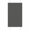 VidaXL Store Plissé Noir 75x100 Cm Largeur Du Tissu 74,4 Cm Polyester, Window Pleated Blind, Accordion Blind, Blind 4015121