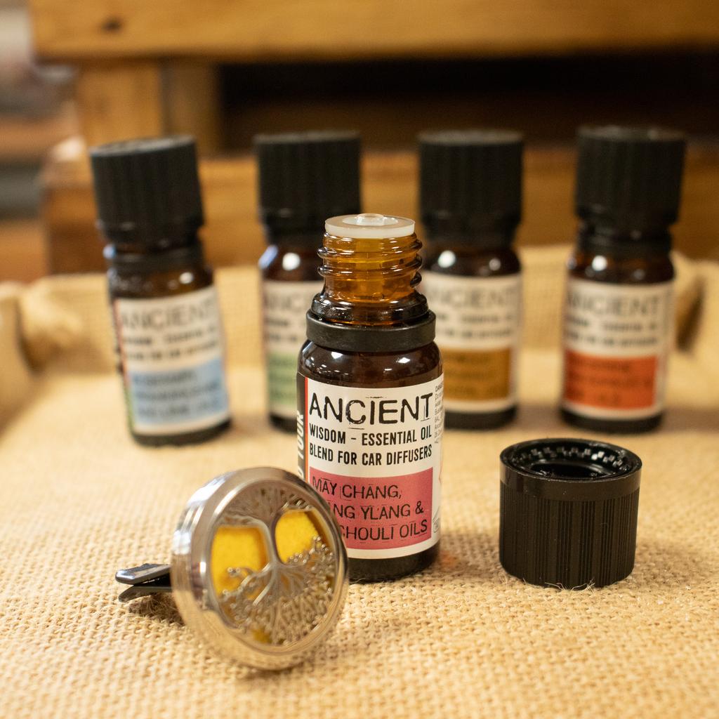 2x Car Diffuser Essential Oil Blend, Family Trip 10ml