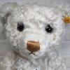 [USED] Steiff Teddy Bear Sugar 39cm