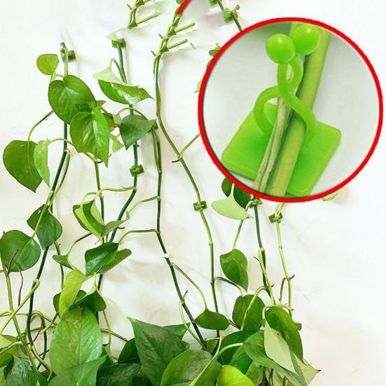 10 шт./компл., зажим для растений, бесплатная гибкая стена для скалолазания, фиксатор зеленых растений, крючок для виноградной лозы для сада