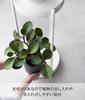 Подставка для цветов Yamazaki Jitsugyo 4366 с роликами, 2 яруса, белая, прибл.. Ш25 x Г26,5 x Г70 см, Подставка для цветов в виде башни, Декоративные растения, Легко передвигать