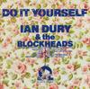 CD IAN DURY & THE BLOCKHEADS - Do It Yourself FIENDCD133 Demon Records 1990 Europe Rock Used