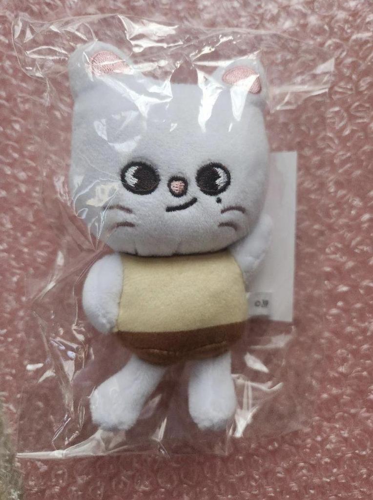 Stray Kids MANIAC ENCORE Official MD SKZOO BAG CHARM Complete Set Plush Pudding Limited JAPAN SKZ New