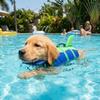 Breathable Dog Swimming Vest Waterproof Pet Flotation Vest Quick Dry Dog Life Jacket  Pool Play