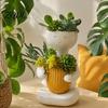 Flowerpot for Small Plants Smiling Face Plant Pot, Double Planting Space Planter, Cute Resin Head Planter Sitting Figure Succulents, Home Office