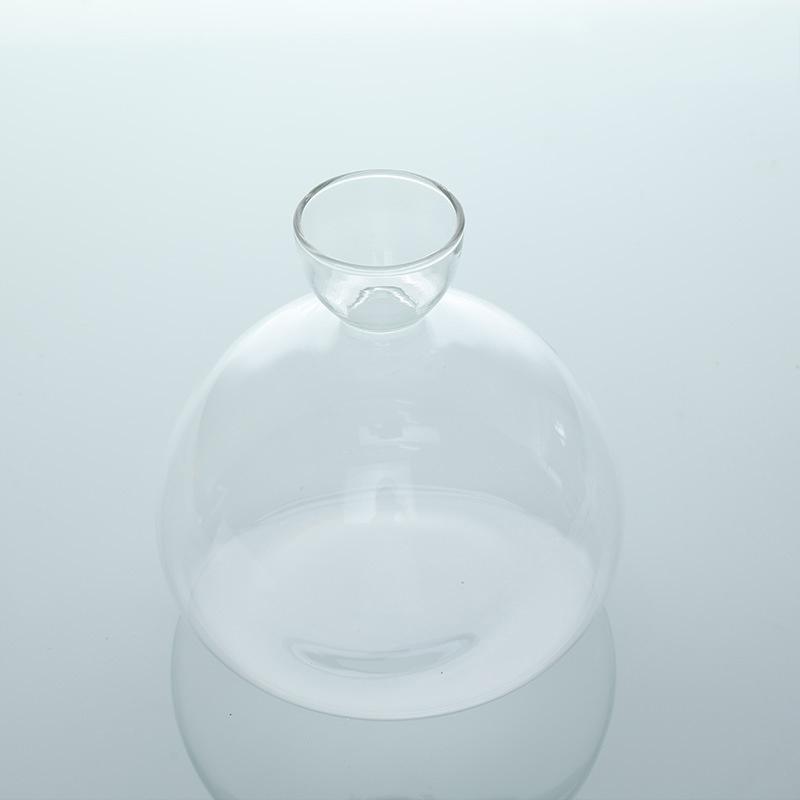 Avocado Seed Starter Transparent Glass Vase For Growing Plant Gardening Lover DIY Kit Home Decoration Gift Idea