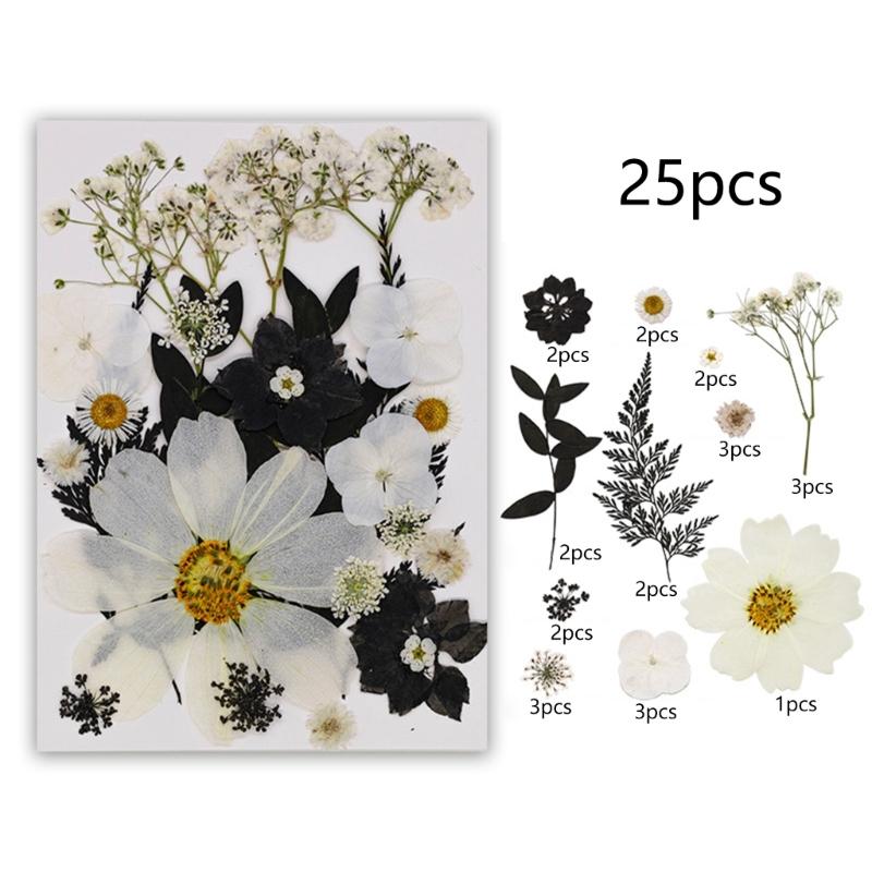 495Piece Dried Flower Craft Set Including Pressed Blooms and Butterfly Stickers for Resin Art and Journal Decorating