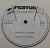 12inch Record GREGORY ISAACS - Beautiful Garden FS002 Festus UK Reggae, Ska & Dub Used