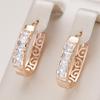 Sparkling Cubic Zircon Golden Hollow Texture Hoop Earrings Vintage Style Women Party Wedding Jewelry