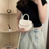 This Year, the Popular Small Bag Women's 2024 Spring and Summer New Trendy Solid Color Messenger Bag Foreign Fashion Handbag Saddle Bag