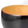 Lacquerware Made in Japan J-kitchens Bowl, Hand-Painted, PID-528275,