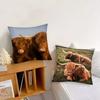 Наволочка для подушки Шотландская высокогорная корова Модная квадратная наволочка Спальня Диван Комната Ин Декор Подушка для отдыха Чехол 40x40