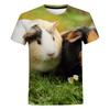 Guinea Pig T-Shirts Hamster Cute Animal 3D Printed Streetwear Men Women Fashion Oversized T Shirt Kid Tees Tops Clothing Shirts