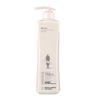 Adolph Gentle & Silky Smooth Essential Oil Shampoo
