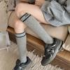 Combed Cotton Calf Socks Trend Letter Embroidery Shaping Women'S Long Tube Knee Stacking Socks